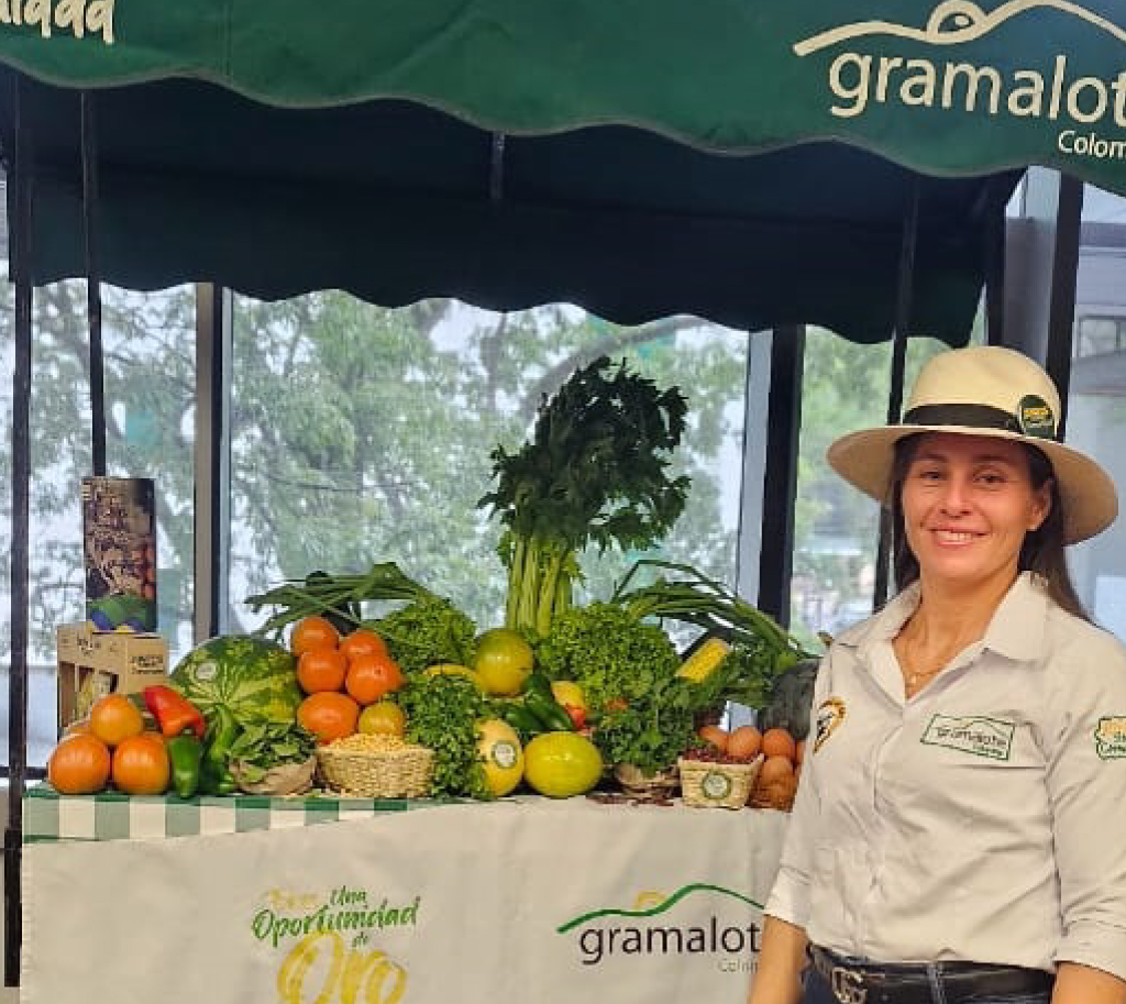 Socya y Gramalote presentes en el evento de Formalización conformación de sociedades e inicio del proceso administrativo que se realizó en la Institución Educativa de Providencia con un toldo de la Granja Gramalote.

Además, participamos en la reunión informativa con aliados.