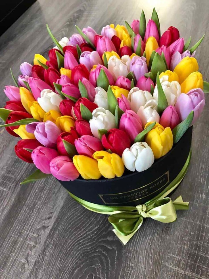 tulips