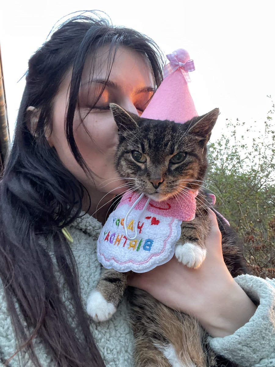 kittyptty tweet media