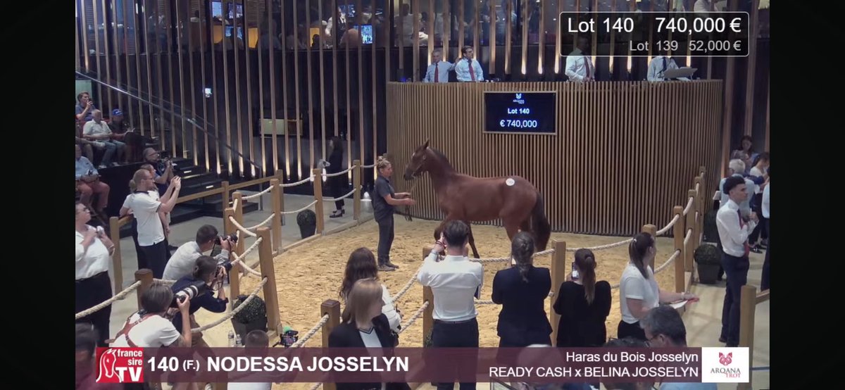 WOW 💥

Nodessa Josselyn (Ready Cash x Belina Josselyn) was sold for 740.000€ 

Full sister to the already successful Liza Josselyn

I excepted a lot, but this 🤯😳