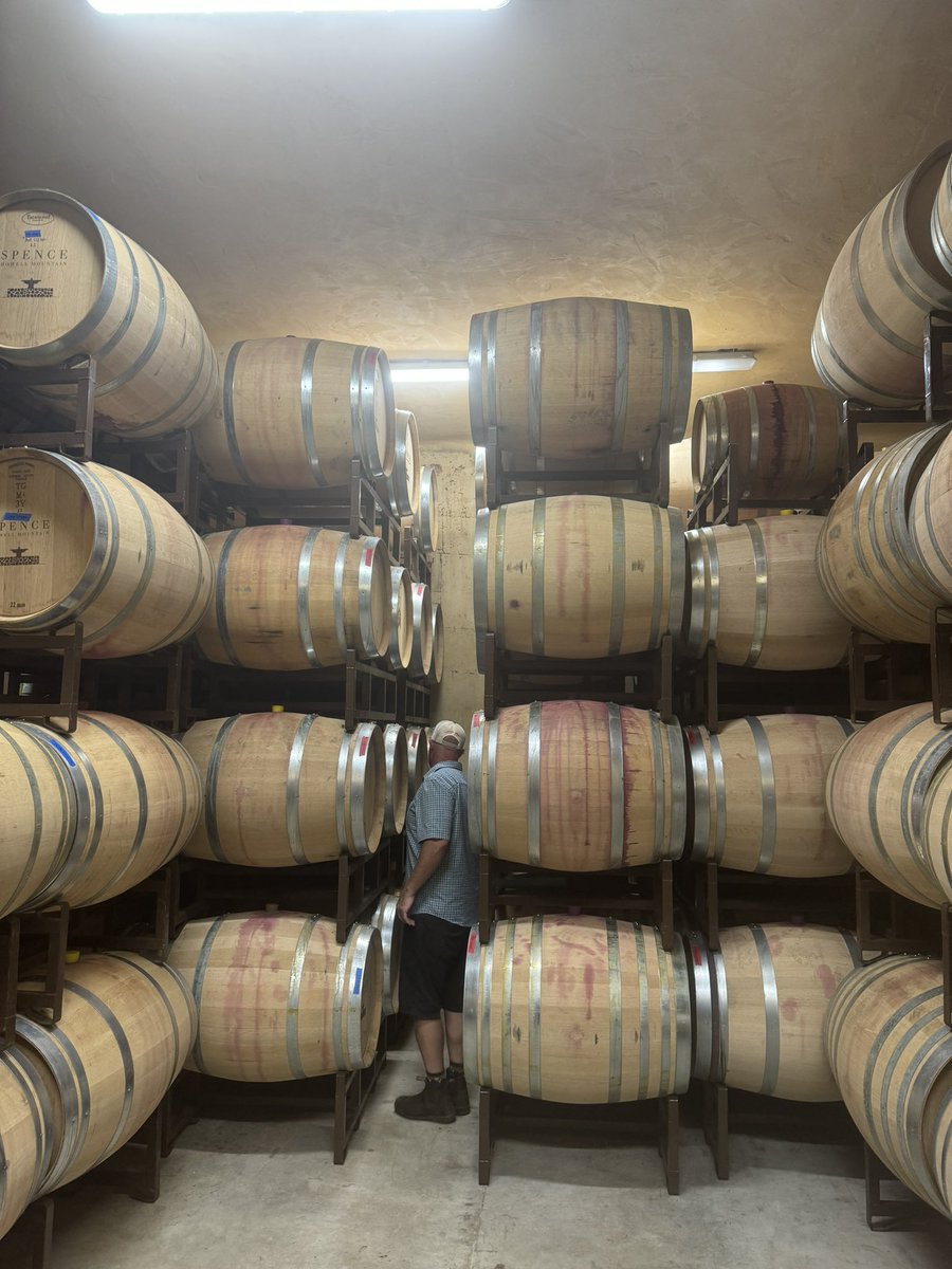 Fun lunch break hopping up to Howell Mountain to visit <a href="/ParavelWines/">Jon</a> pick up some wine and sample some of the upcoming 2023’s in our barrels! 2024 harvest is almost upon us