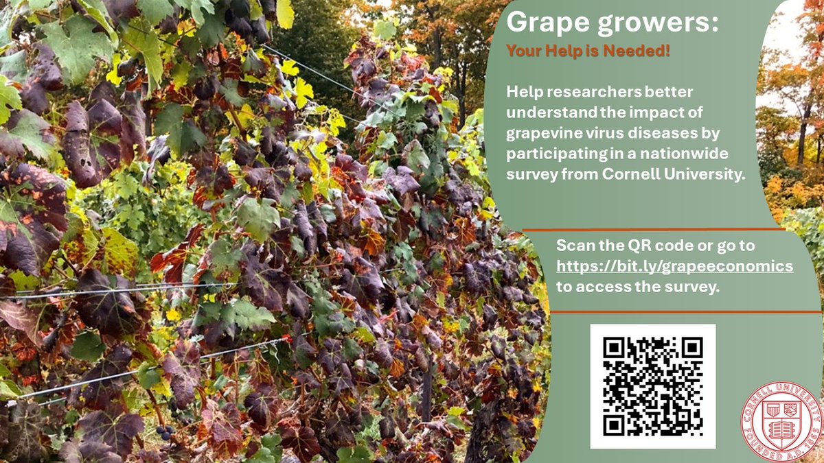 Dr. Jie Li and Dr. Miguel Gomez from the Dyson School of Applied Economics and Management at Cornell University are investigating vineyard growers' demand for clean, certified grape plant material. You can participate! Complete the 5-minute survey here: bit.ly/grapeeconomics