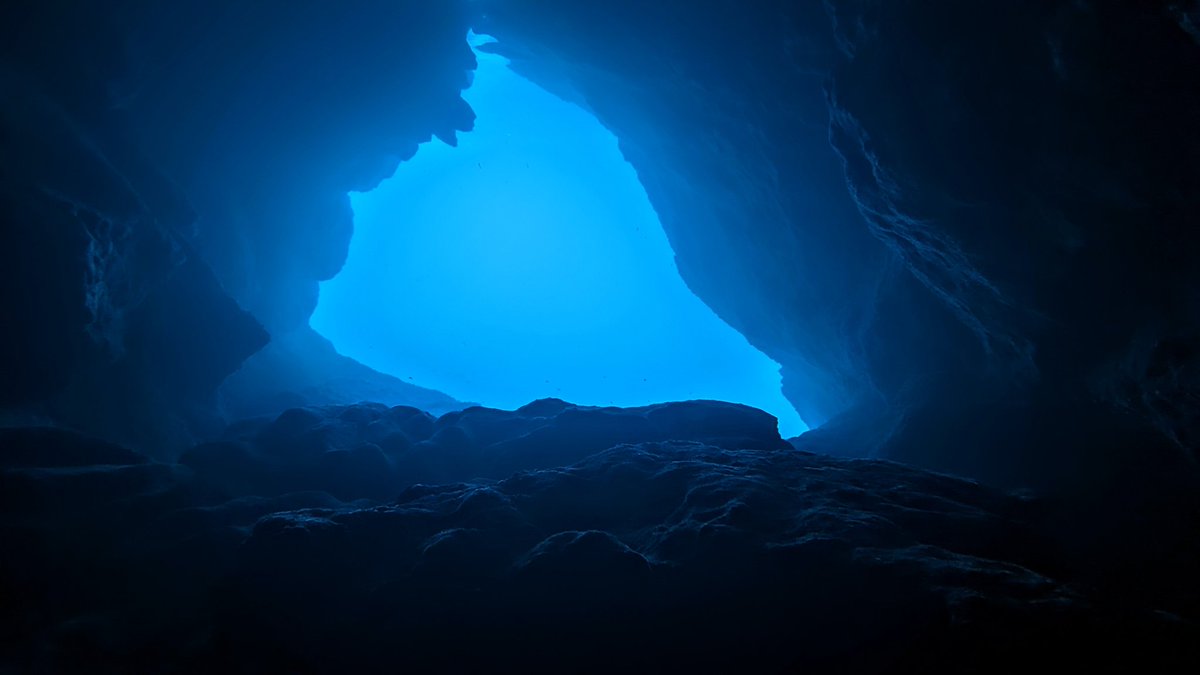 Inmersió a sa catedral 👌