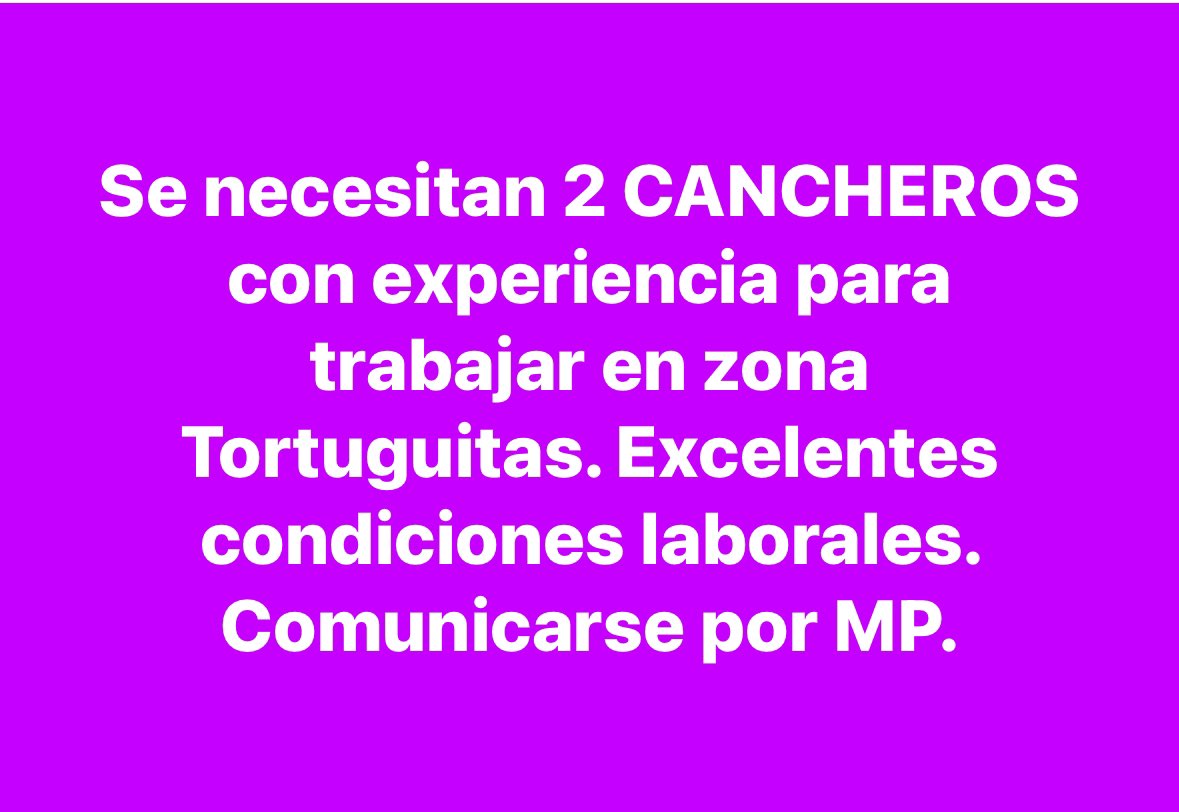 Pablo Peirano tweet media