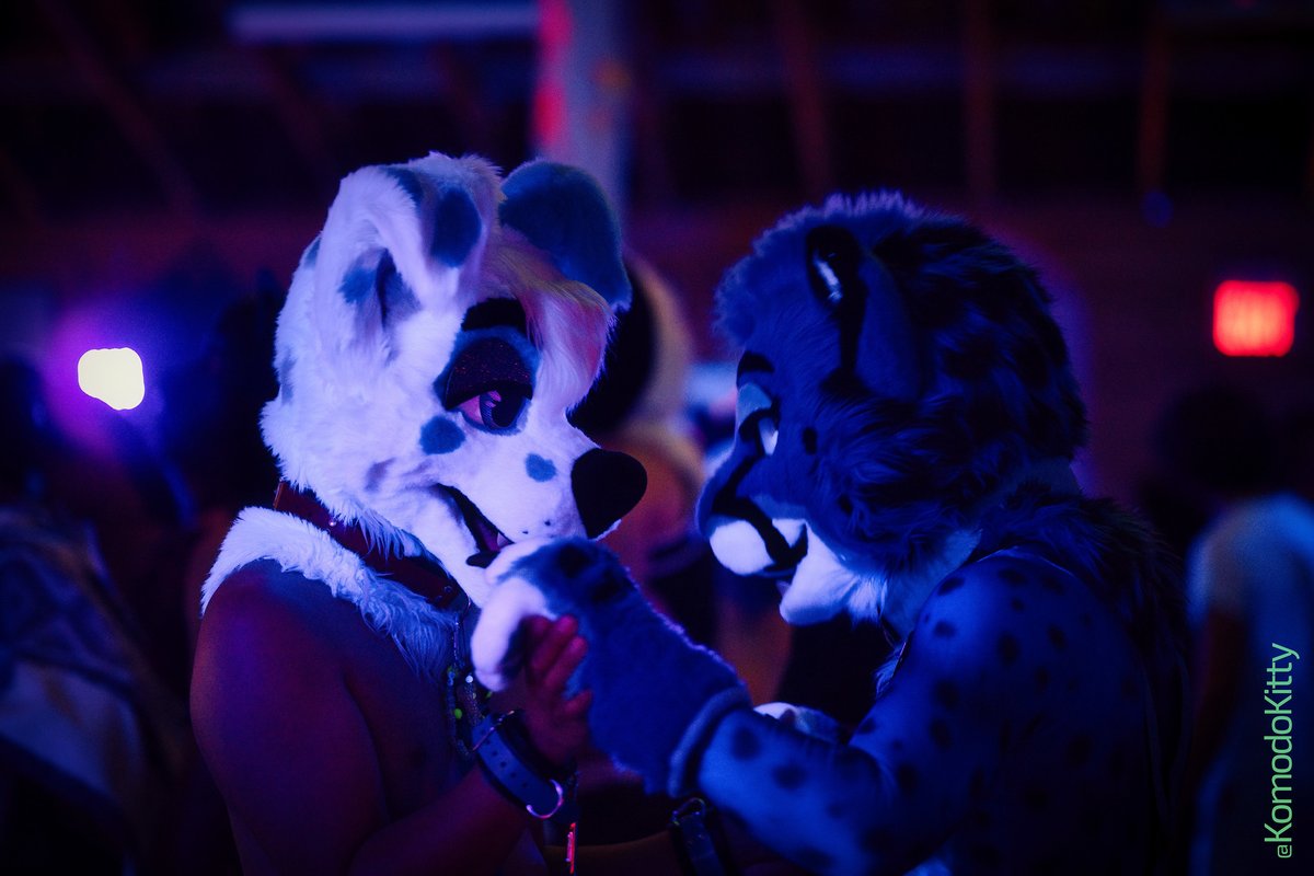 KomodoKitty's tweet image. @CampFeral photos! I mostly took video, but caught some during the dances mostly.
📸: flic.kr/s/aHBqjBF5z7