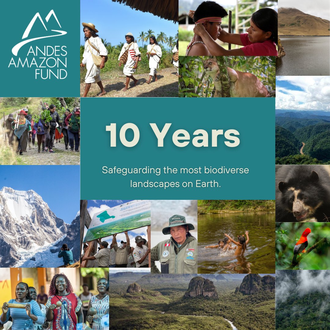 Andes Amazon Fund tweet media