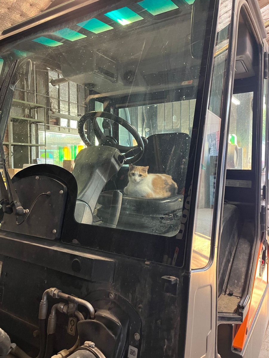 CatWorkers's tweet photo. She is not licensed to operate this vehicle. https://t.co/wliYCk44uD