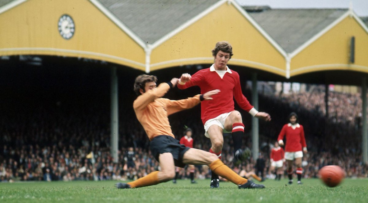 Diana The Red tweet media