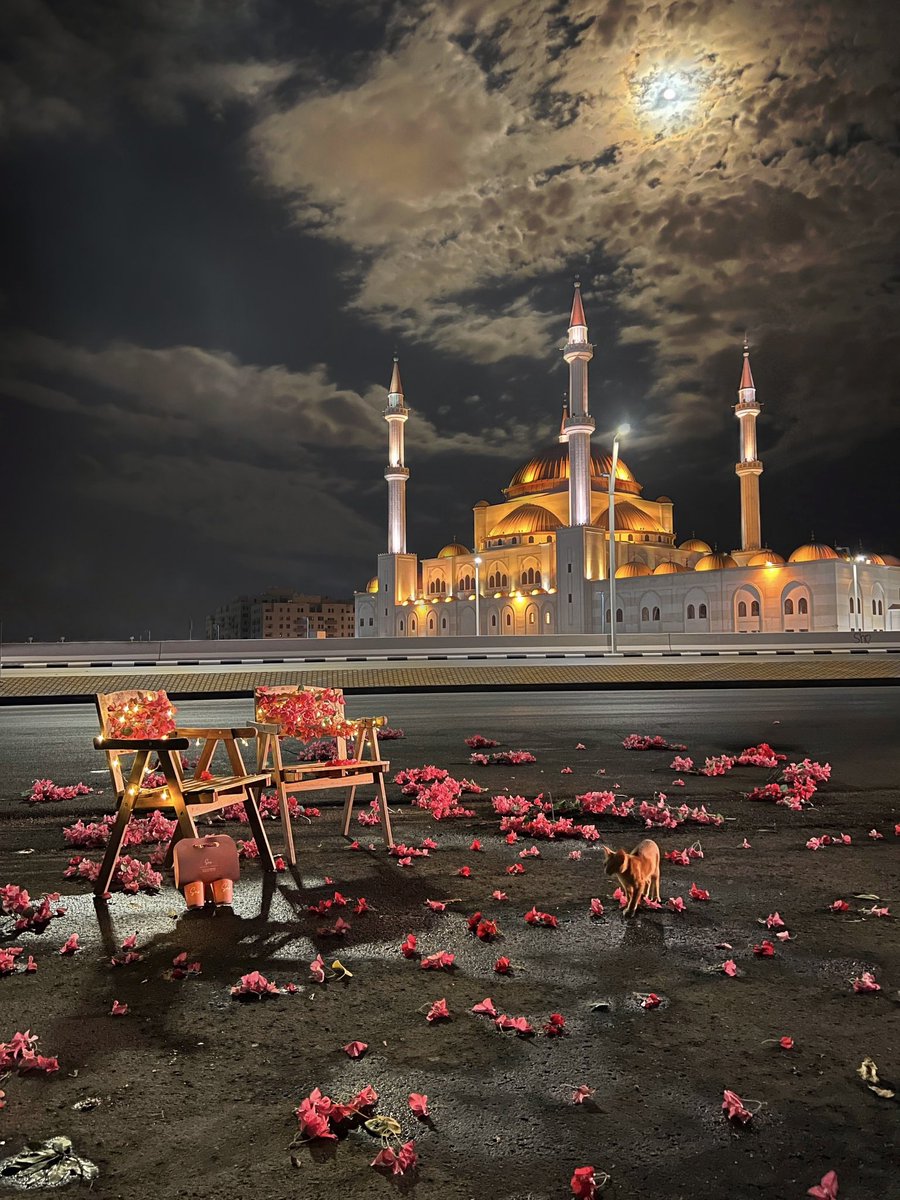 abdduidti's tweet image. اذا تصويرك حلو اثبت لنا بصورة :