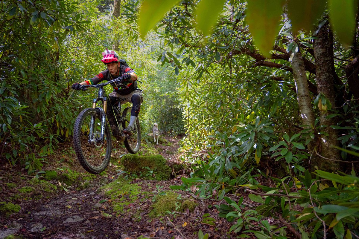 TuckerCounty_WV's tweet photo. We hear the #trails are running perfect right now all around Davis, WV.
Just in time for #LaborDay2024!
#gettuckered
#daviswv @outsidemagazine https://t.co/qcMThnMWeO