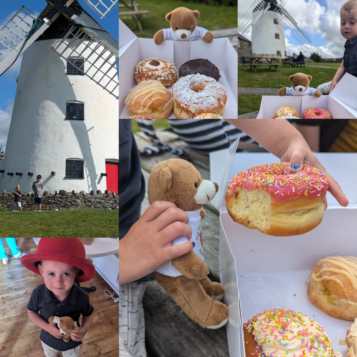 lealea_86's tweet photo. Saint joined us on our adventures in Anglesey over the summer holidays, he was a delightful guest and even helped us climb a mountain! ❤️ #searchforsaint @stmichaelthomas @the3saints https://t.co/FcPDsp4Jzr
