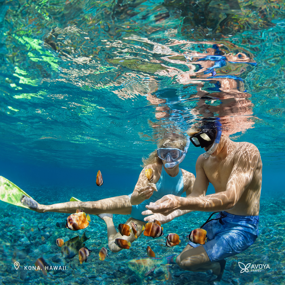 avoyatravel's tweet image. It’s #WanderlustWednesday, and the magic of #Kona, #Hawaii is calling! Discover the wonders of Kealakekua Bay State Historical Park, where thriving marine life and crystal-clear waters await. Snorkeling, scuba diving, or kayaking - how will you #explore this paradise?