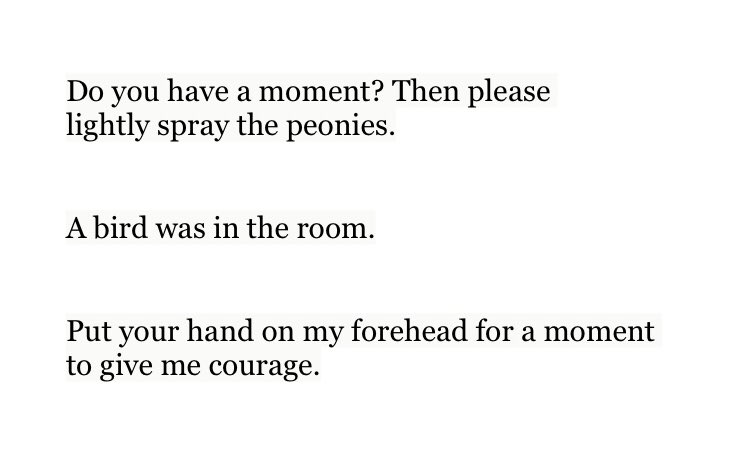 Today I am wrecked by having learned that when Kafka was dying and unable to speak, he wrote little messages on strips of paper for his doctor and his friends who visited him. Here are three of them.