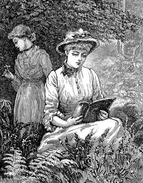 Robert Boucheron tweet media