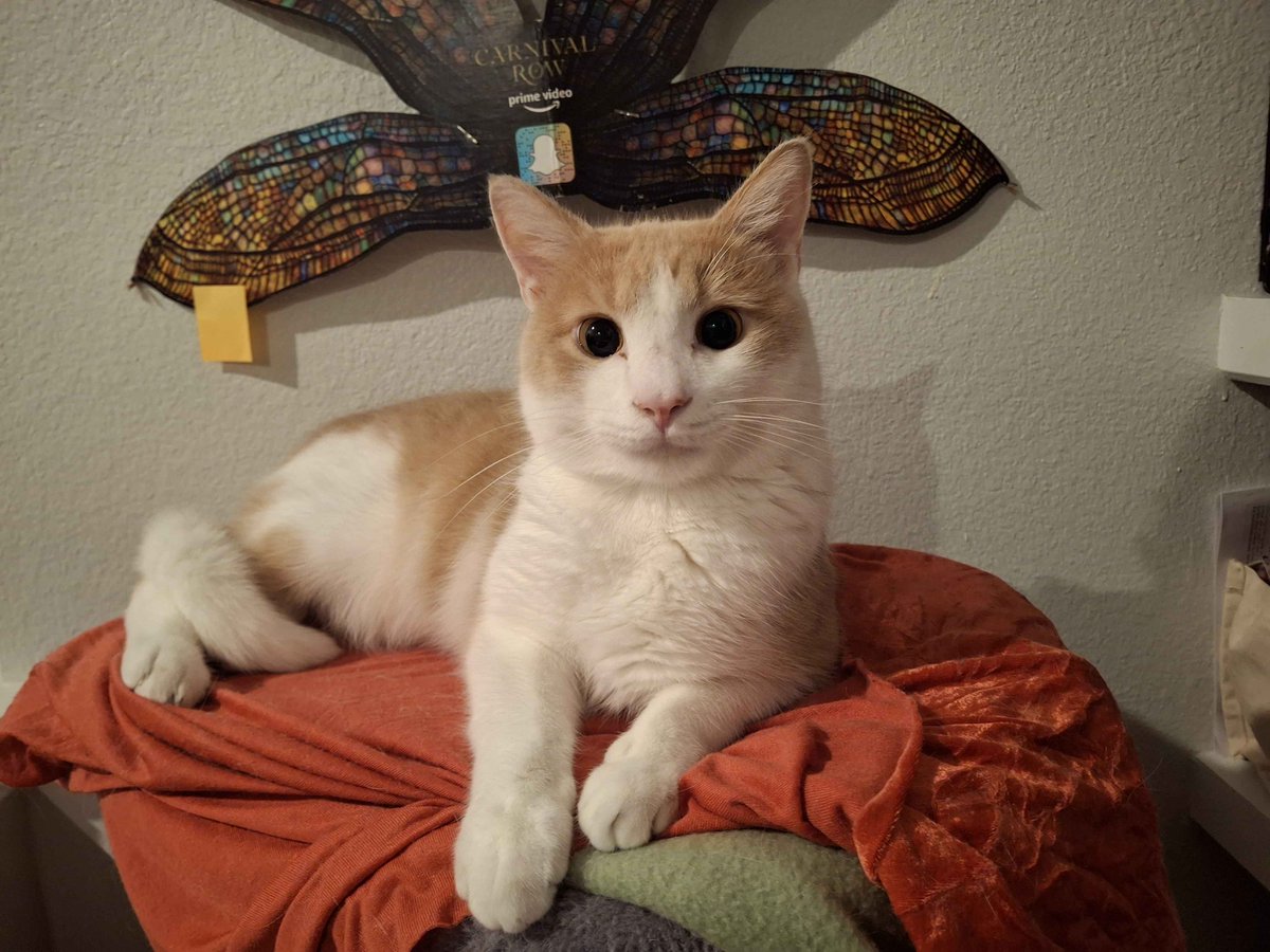 The crime, and the smug, unrepentant criminal.