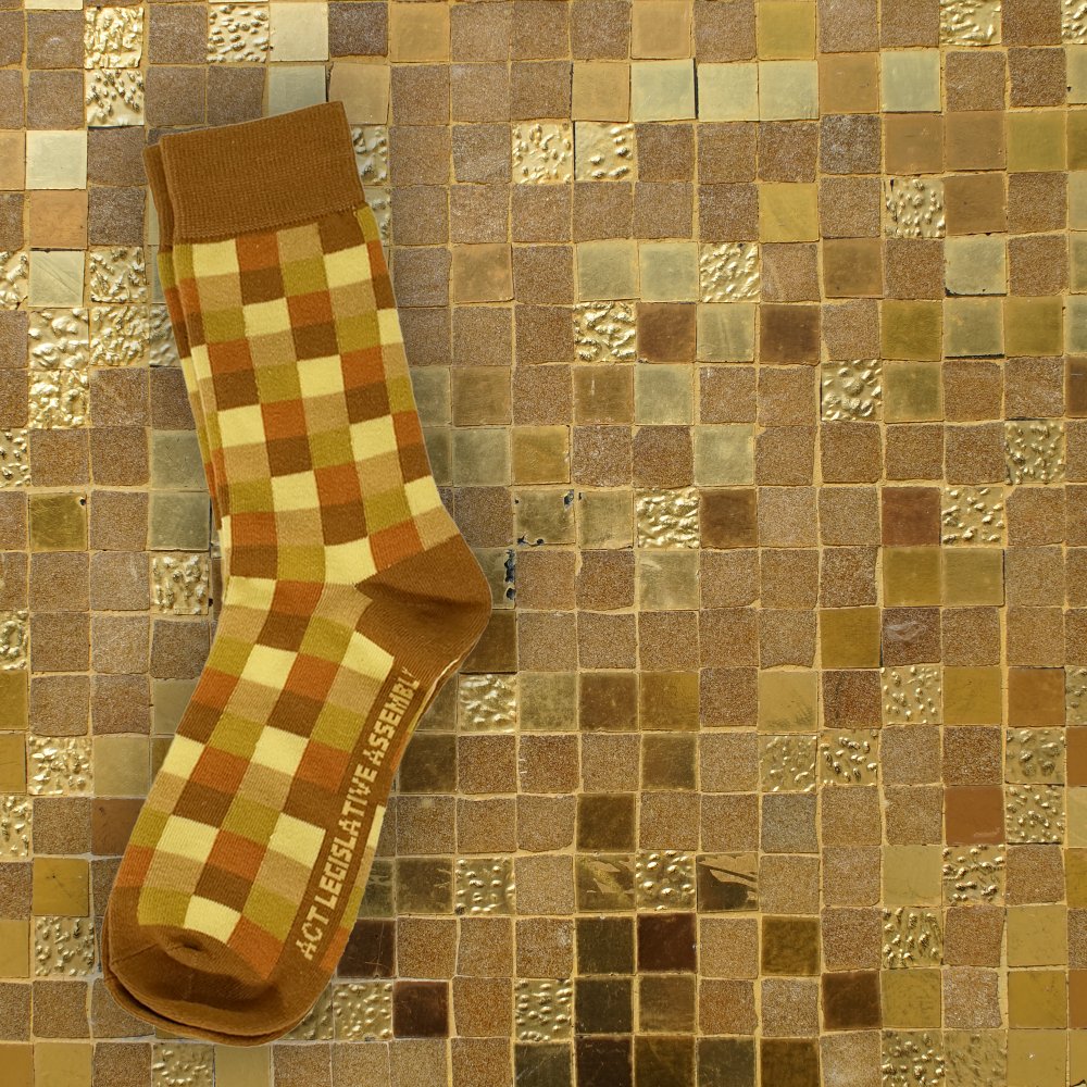 ACTAssembly's tweet image. On (sitting) Wednesdays, we don't wear pink 🩷 - we wear gold💛

Peep the socks our attendants and clerks were all wearing yesterday, inspired by the iconic gold tiled colonnades of our building! 🧦

#yourAssembly #latergram