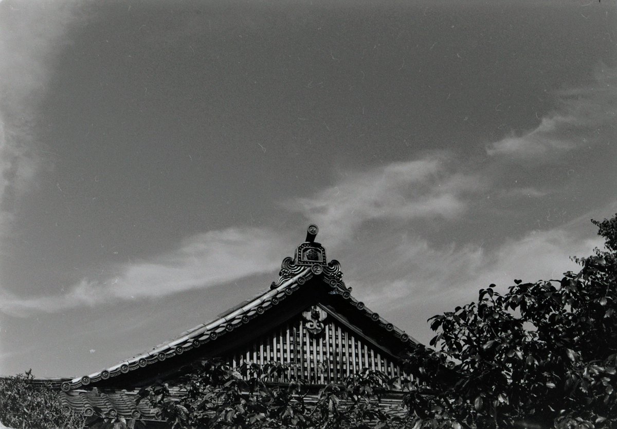 norikazu_inoue's tweet photo. 嵐山散歩_1806。

ISO1600に増感。
SPD 1:1 20℃　16分30秒

#kyoto
#arashiyama
#フィルム写真 
#ニコンf801
#afnikkor50mmf18d 
#ニューシーガル100
#ei1600 https://t.co/sNJGbFVUj0