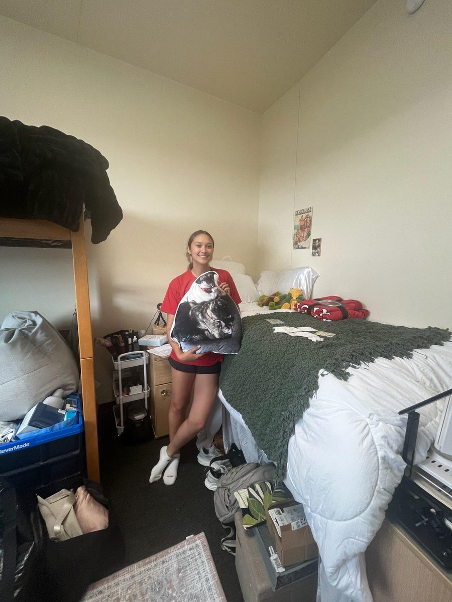 Omar Shaikh tweet media