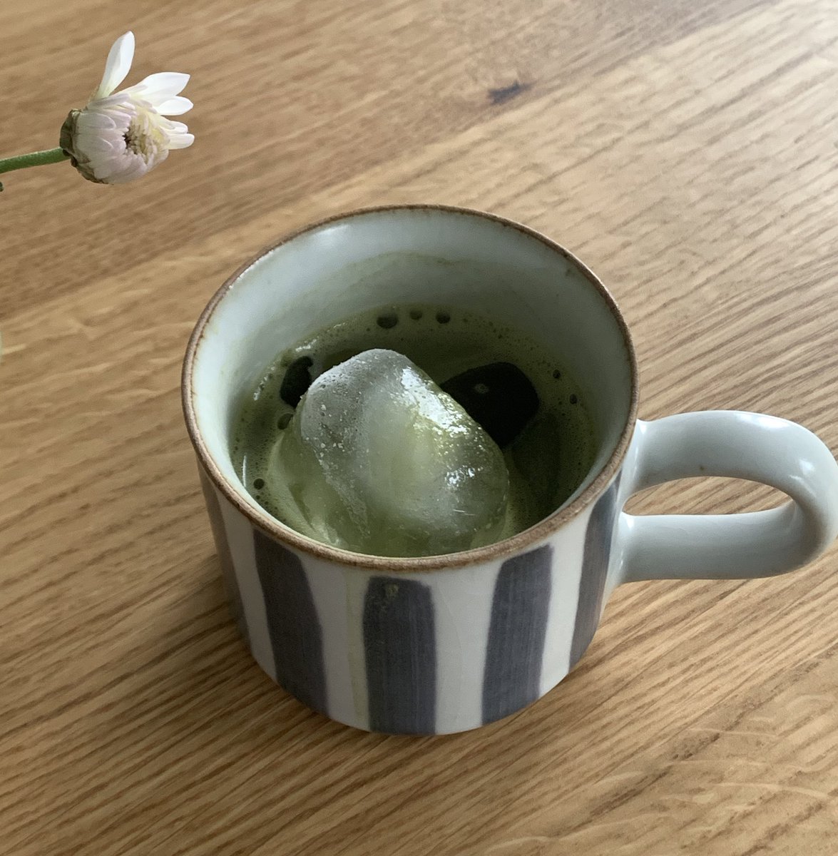 tofutofuchan's tweet photo. Matcha shot~ https://t.co/chJ9n5CWzl