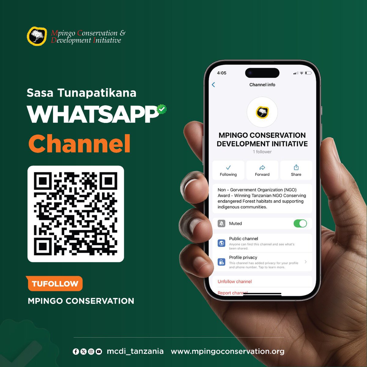 Mpingo Conservation tweet media