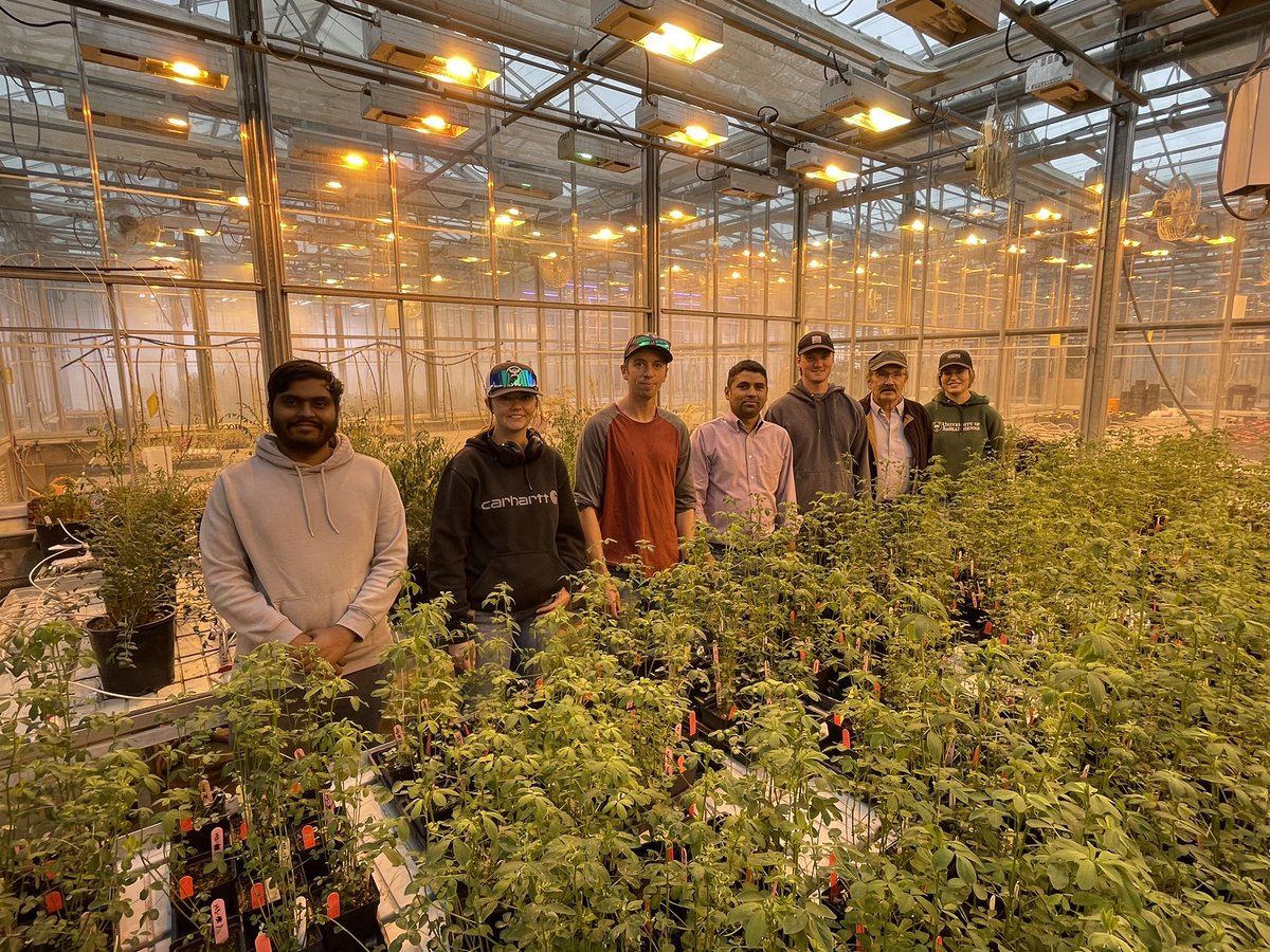 Forage breeding lab members-2024 (missing: Shaily and Mike). Thank you all for your your contributions to the program <a href="/pokhrelihp/">Hari Poudel</a> <a href="/mukthars99/">Mohammed Musthafa Mukthar</a>