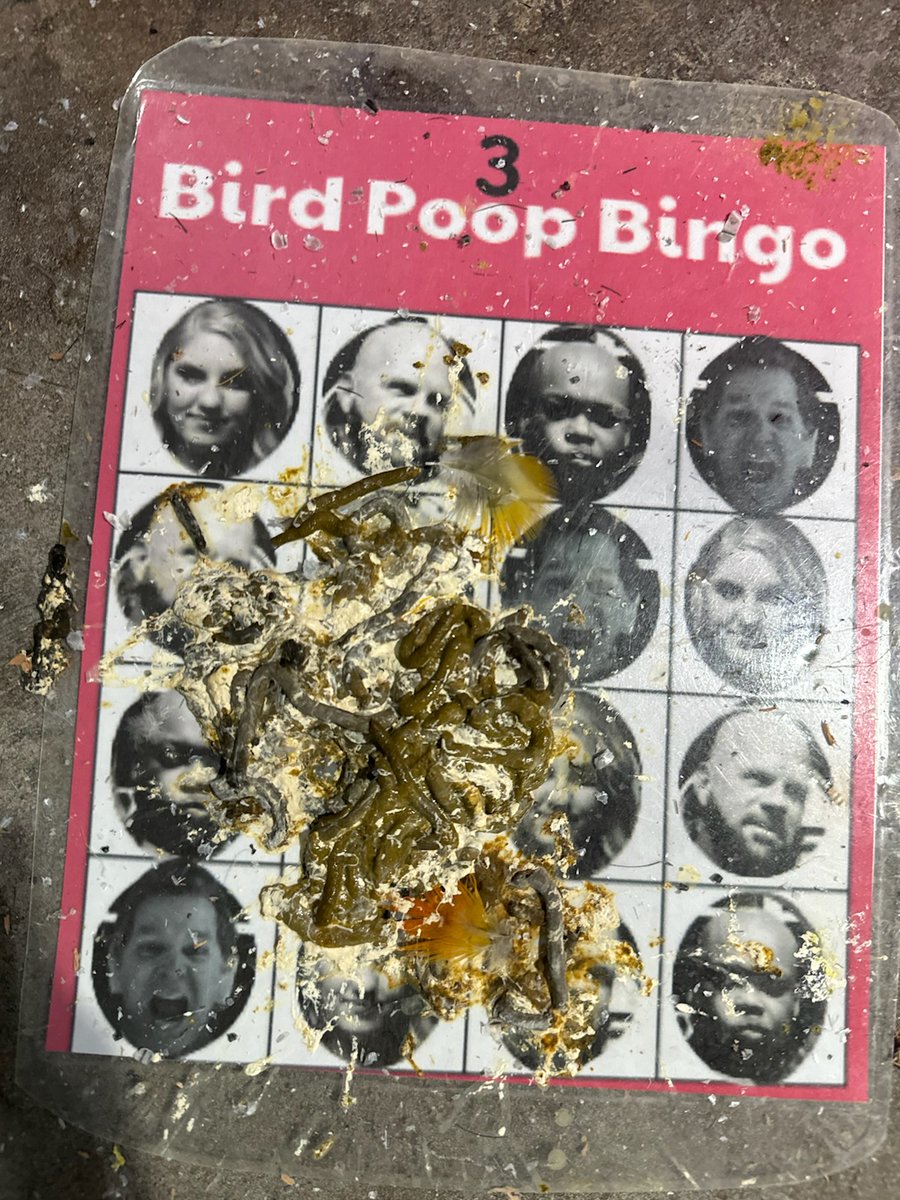 BlueYake's tweet photo. @LexandTerry @TerryJaymes @lexstaley @BVNP @sarahBmorgan Wednesday's bingo winner was Terry!! https://t.co/obfkV6qrl5