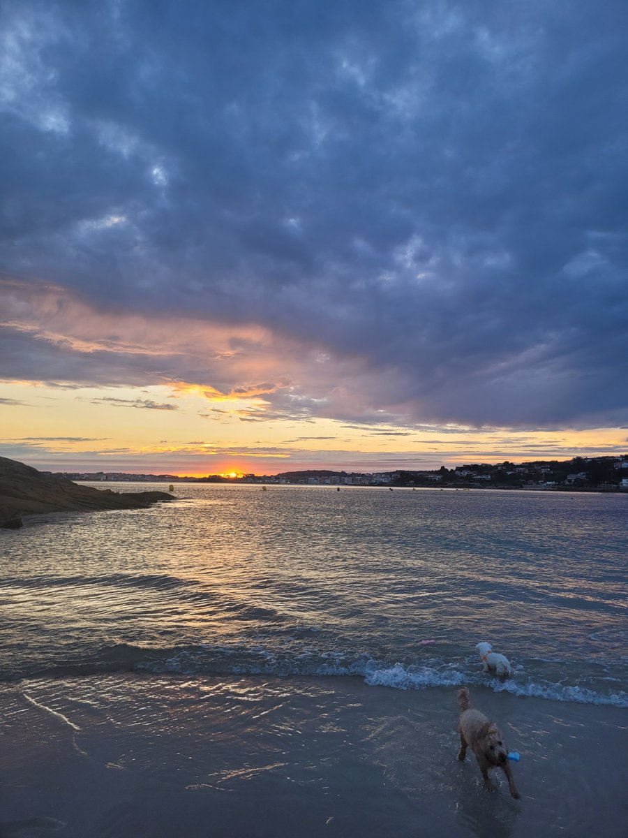 Raqueldila tweet media