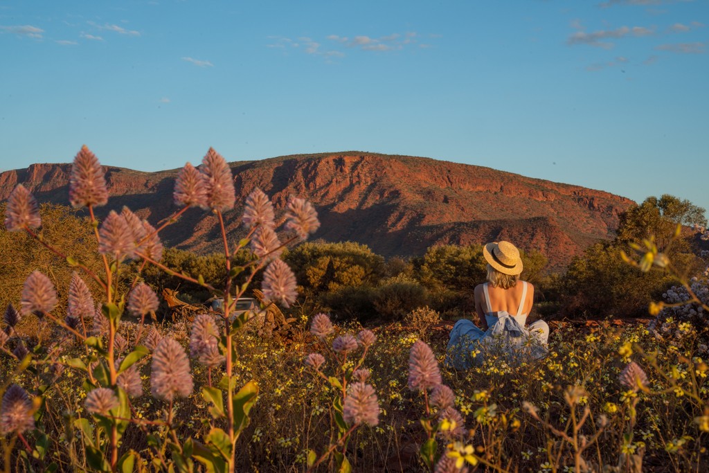 OurWAParks's tweet photo. It's nearly spring!
Celebrate #springintoparks and start planning your outdoor adventures with 30 ideas to get into nature! 🌿
Find out more 👉 https://t.co/Q9qpWvPraJ
📷 Tourism Western Australia
📍 Mount Augustus National Park https://t.co/bSukky2xCa