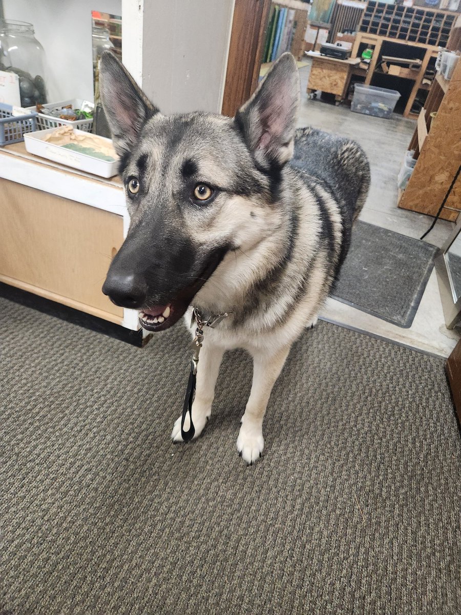 post mal-asch'lye tweet media