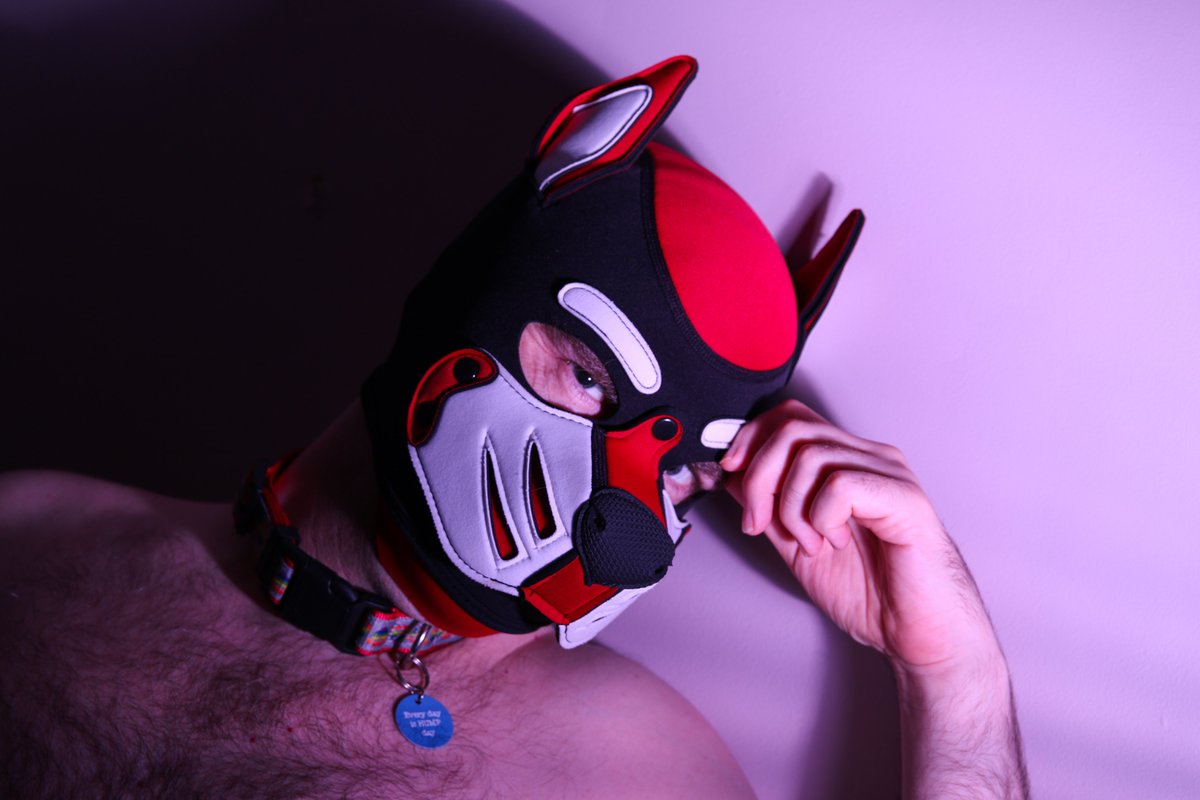 Canuckmutt 🍁 (@Canuckmutt) / Posts / X