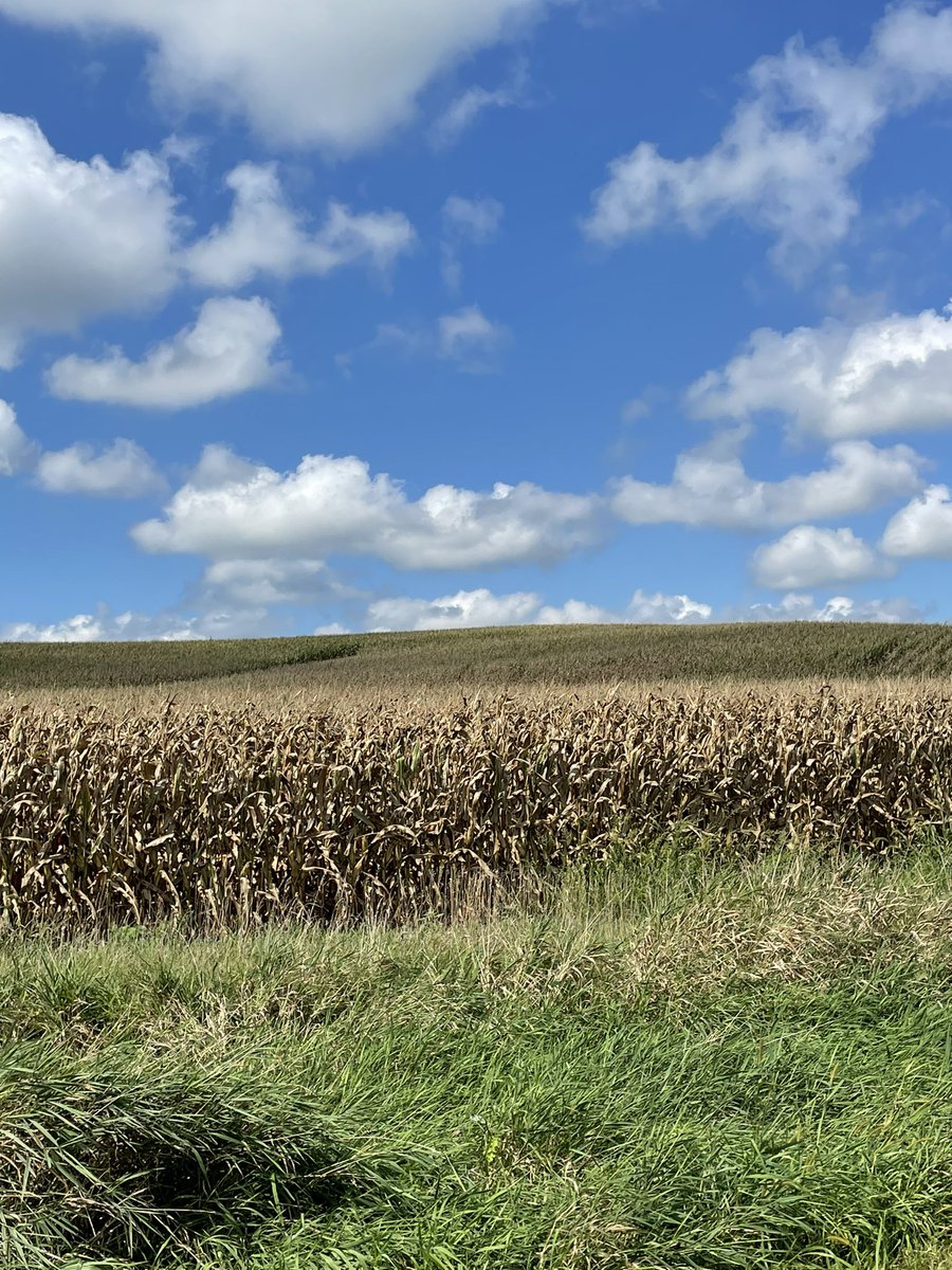 Andrew Rupe tweet media