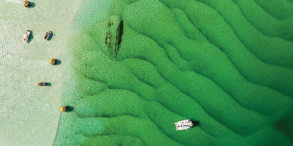 In the latest issue of Tallahassee Magazine, we feature a special section entitled "Visit Northwest Florida Beaches." We describe the best spots for sunny, fun-filled boat days along the Emerald Coast. Learn more: bit.ly/4e2hOE5

📸: Boo Media