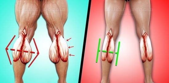 FelipeGains's tweet photo. MELHORES EXERCÍCIOS PARA TER PANTURRILHAS GIGANTES EM CASA!