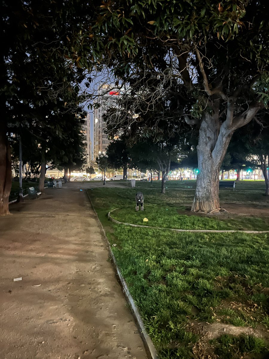 diegogarq's tweet image. Sin iluminación la plaza las lilas @Muni_provi por favor revisar problema, saludos