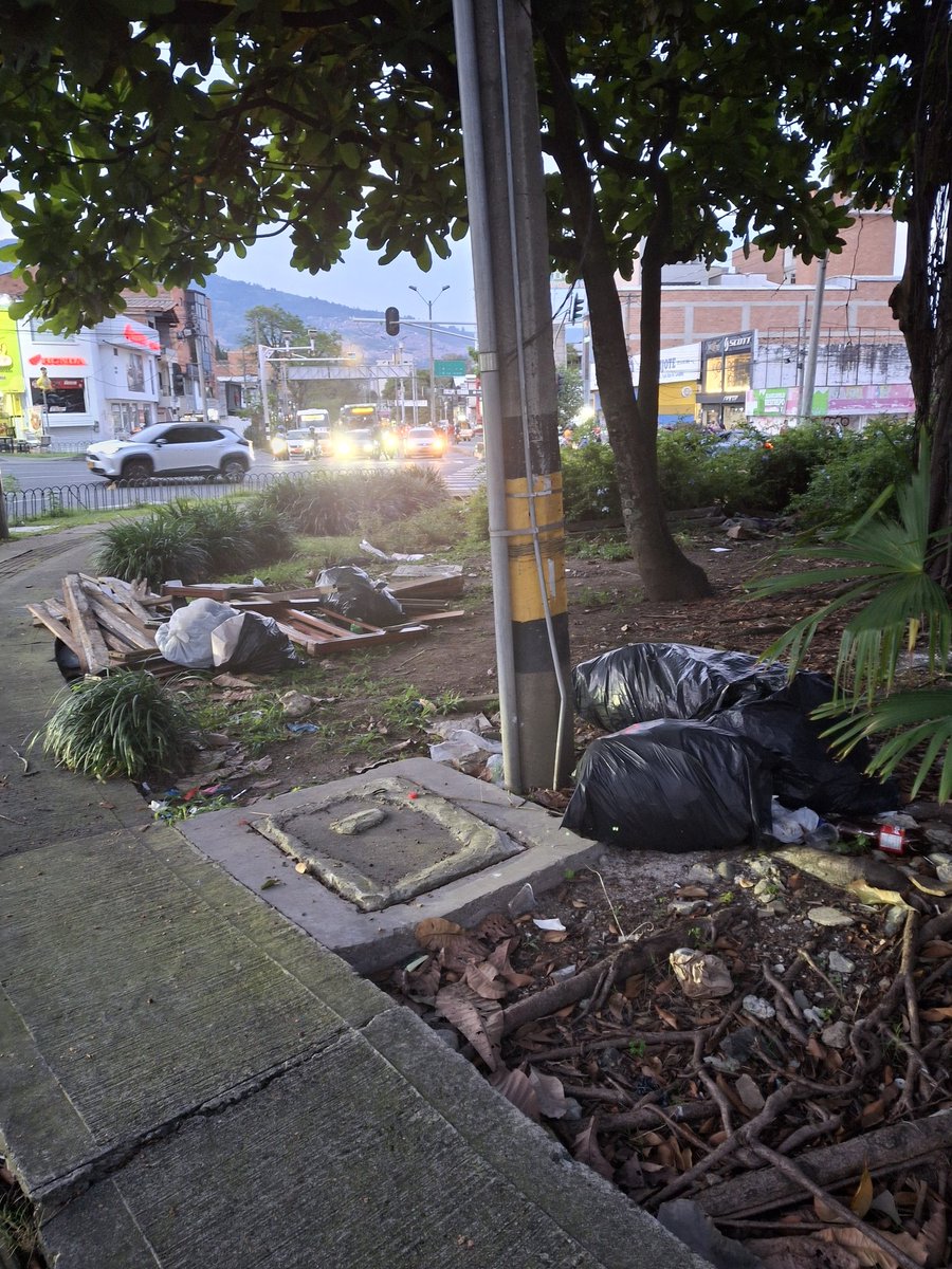 pipe045's tweet image. Hola @Emvarias  sería bueno que se dieran una pasadita  por el interior del rompoy de Don Quijote,  calle 35 con carrera 80, crece la basura de forma exponencial.

Gracias.

@tobonvillada 
@AlcaldiadeMed
