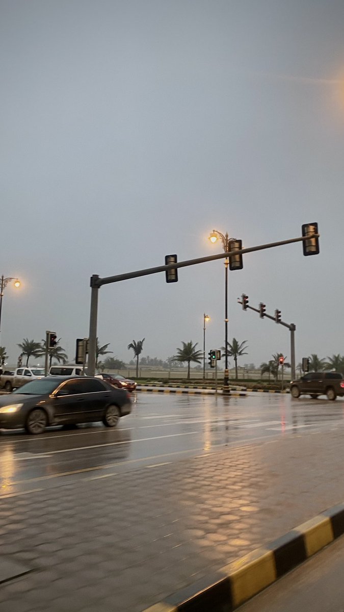 muna_o7's tweet image. اغسطس بأربع صور