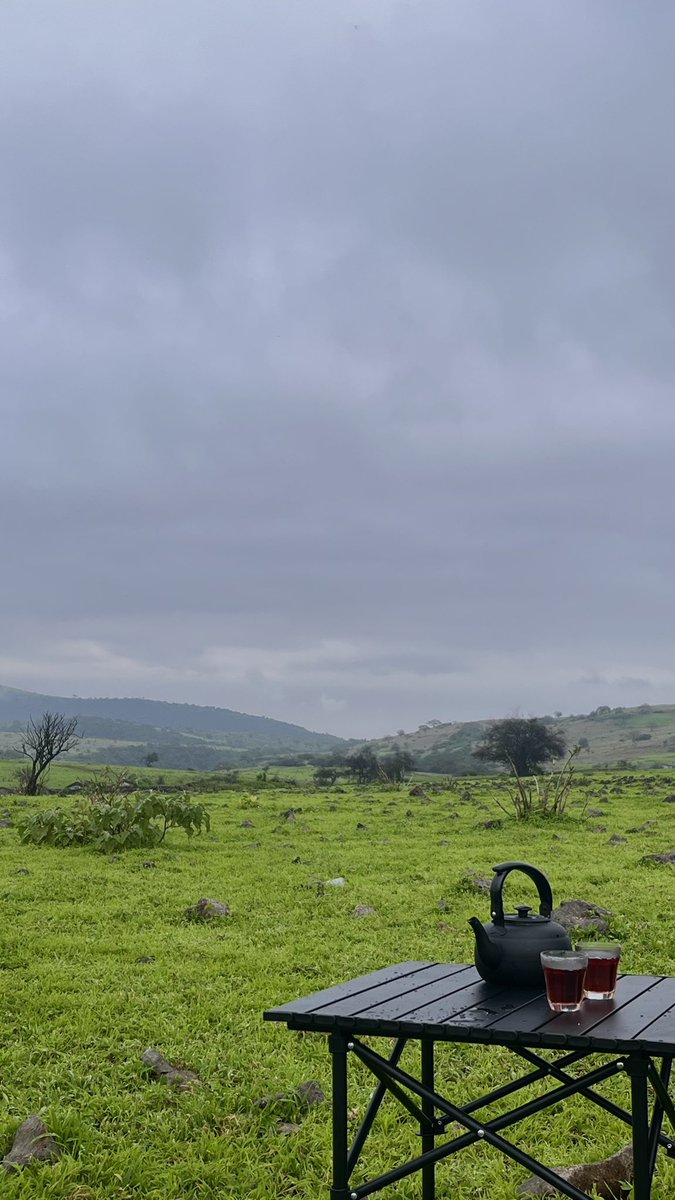 muna_o7's tweet image. اغسطس بأربع صور