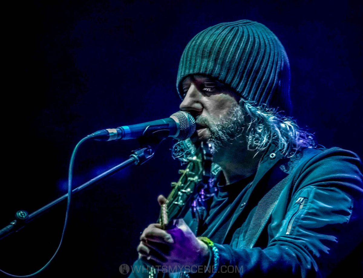 What's My Scene tweet media