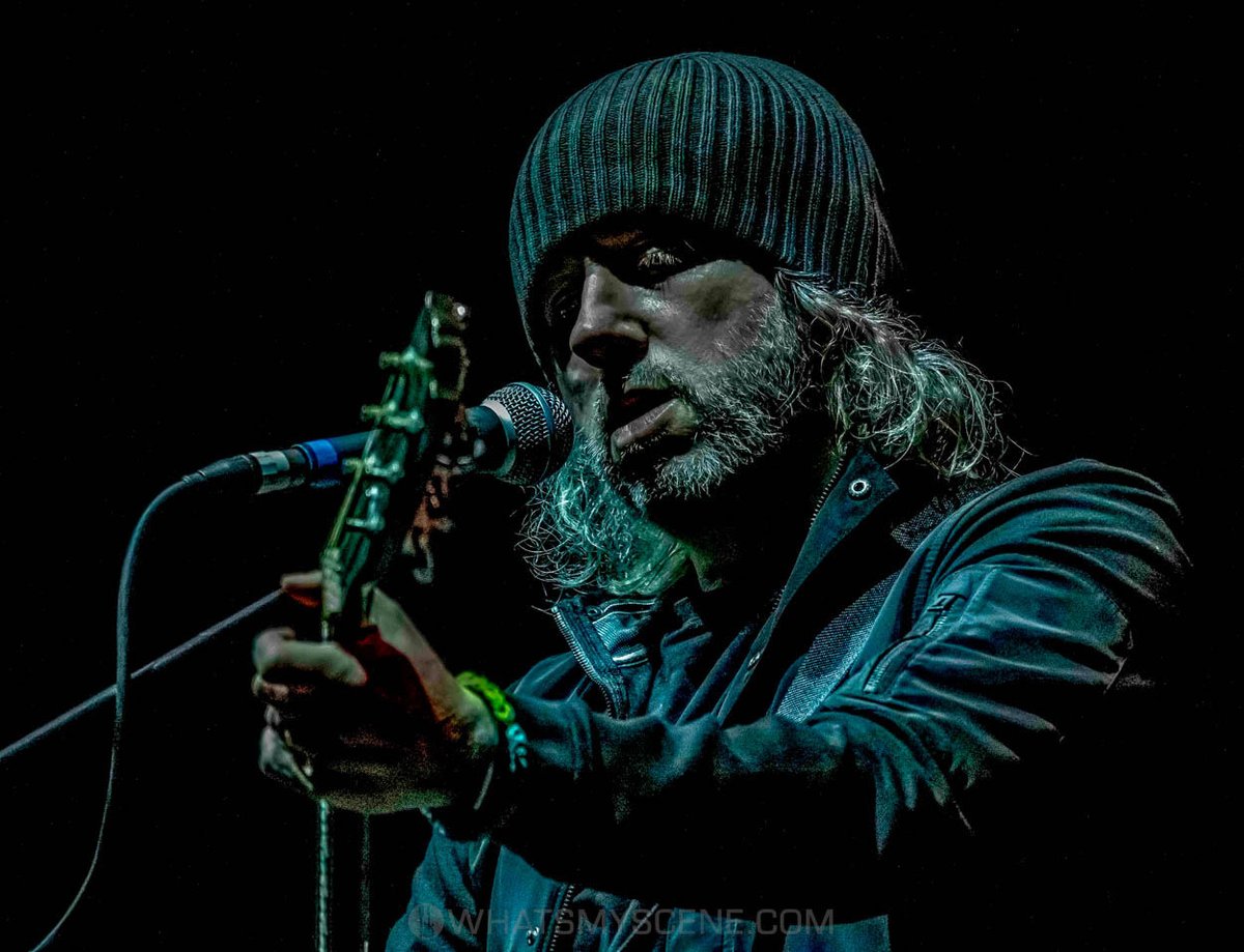 What's My Scene tweet media