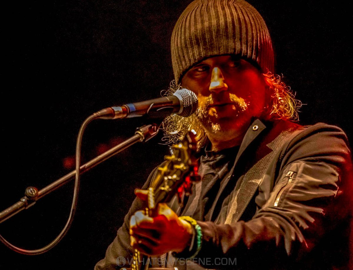 What's My Scene tweet media