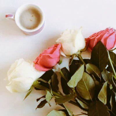 #كلمه_ولو_جبر_خاطر

وشلون ما افرح في حضورك و البيه 
وانت المكان اللي تـجيه يتبارك 🤍🌙 ✨