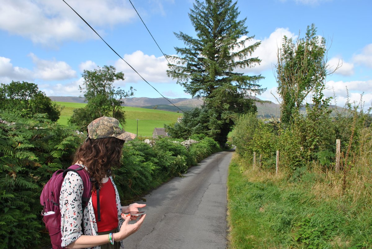 polly pasta (@nevadaface) on Twitter photo 