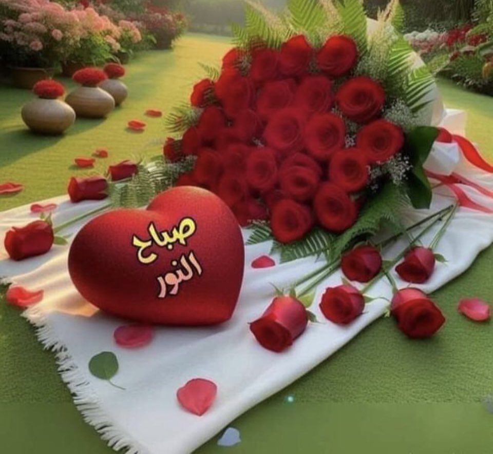 ماجدة الفيلكاوي tweet media