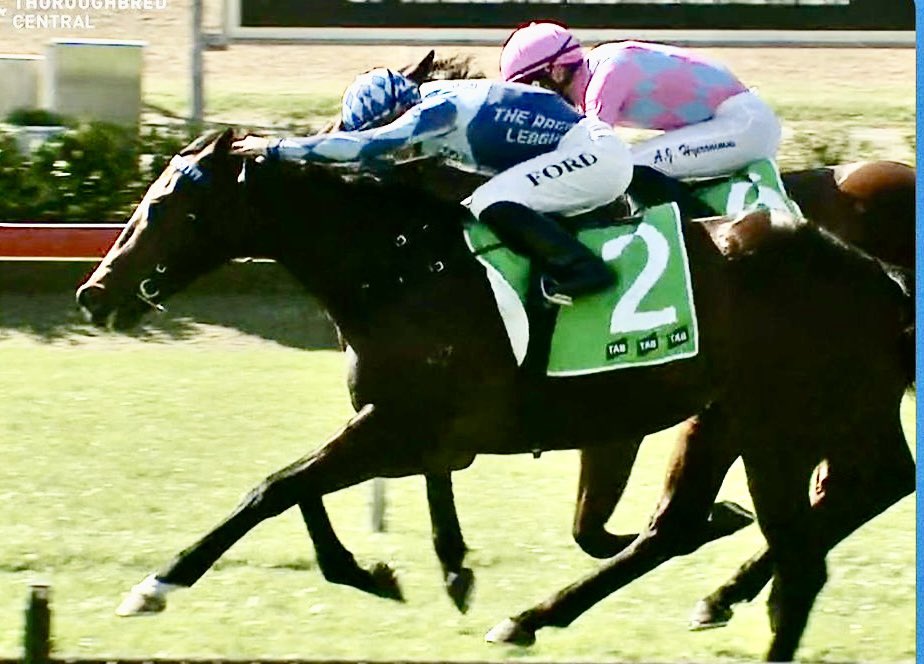 The impressive winning run continues with Northern Eyes &amp; Jay Ford chalking up the Hat-Trick with a gutsy win <a href="/newcastleraces_/">Newcastle Racecourse</a>  today 👏👏
Congrats to all his owners including <a href="/TheRacingLeagu3/">The Horse Racing League</a> #welldoneteam 
<a href="/inglis_sales/">Inglis</a> 🥳🏇🏇🥂👏