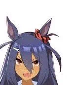 え?髪飾りの星が消えてヒシアマさんみたいな飾りになっているのですがそれは一体。画像が荒くてまだわからん。一体どう言うことなの…… 