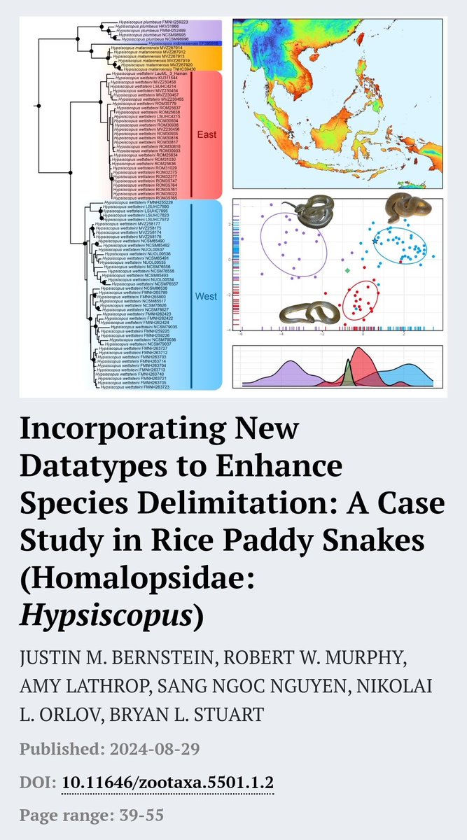 A lot of exciting genomic work in my last year, but it's also exciting to get some really fun projects with collaborators done as well! More Mud #Snake research on the rise!
mapress.com/zt/article/vie…
