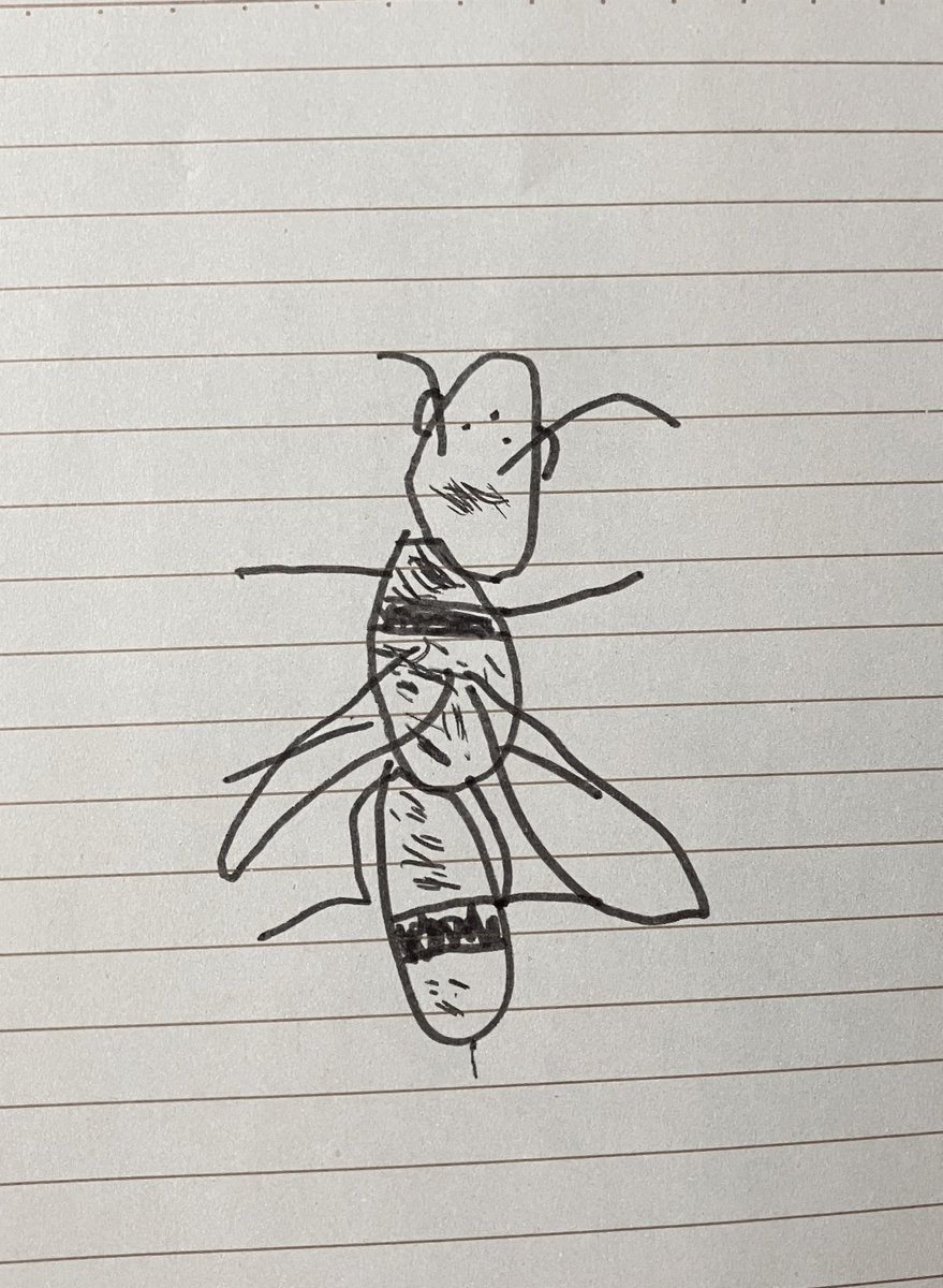 長男が生き物描くのにハマってる。特徴捉えつつ良いデフォルメ…私より上手い…… 