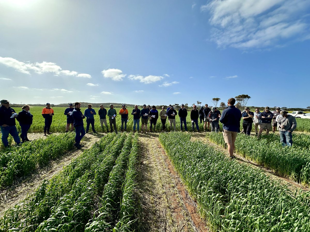 Cleve Rural Traders tweet media