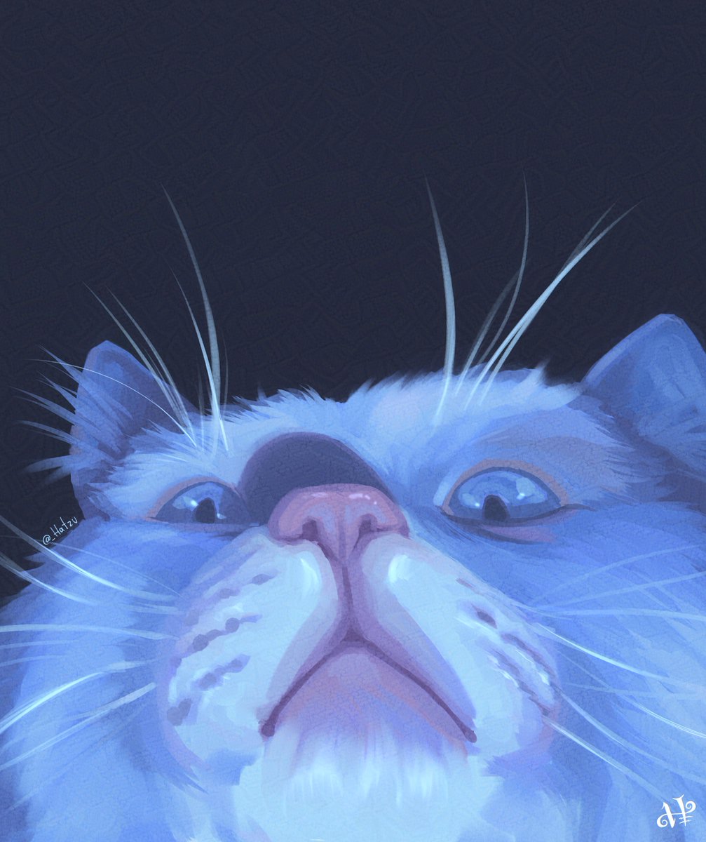 _Hatzu's tweet image. Tofu ✨

@lorenaaorsi 

#digitalart #colorpractice