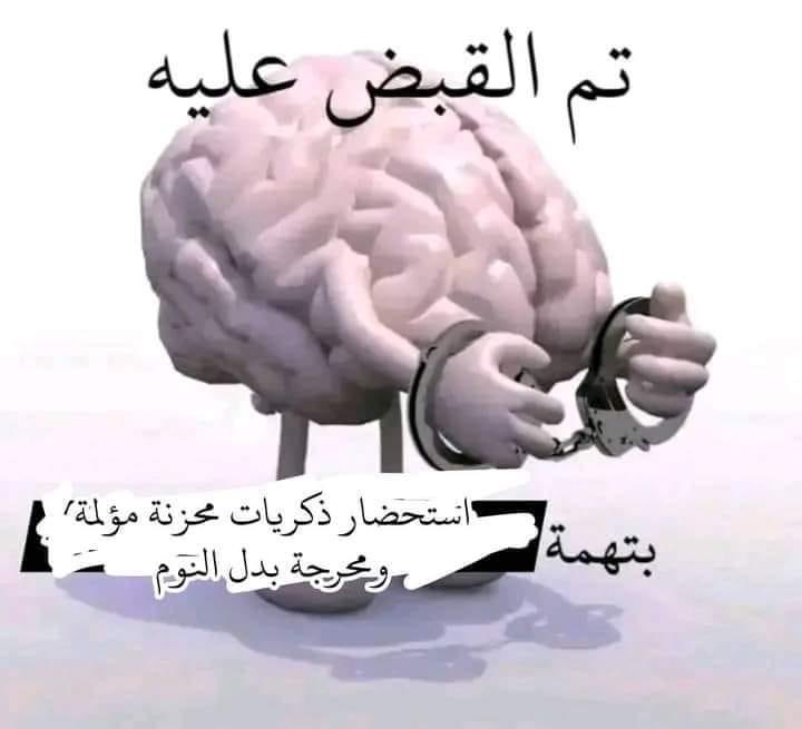 العنكبوت النونو خطفت قلبه عنكبوته (@i1911_) on Twitter photo 